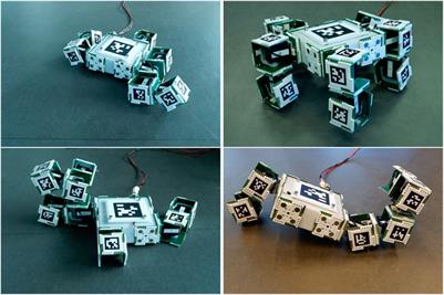 EMERGE Modular Robot: A Tool for Fast Deployment of Evolved Robots